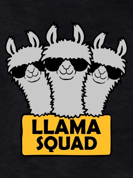 Llama Squad Team Design
