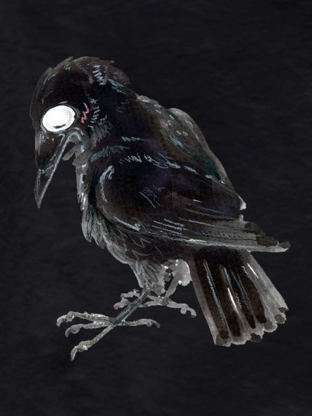 Raven Crow 3