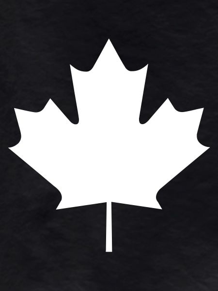 Une feuille d'érable