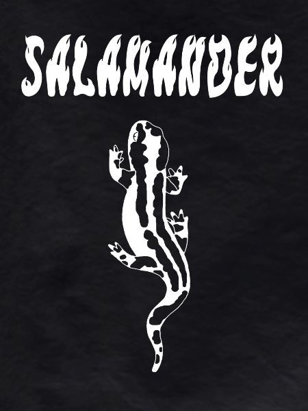 Salamandre blanche