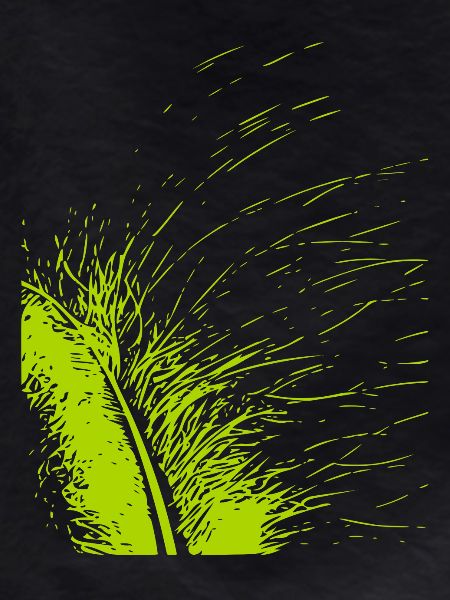 Abstract feather / line / green / pattern