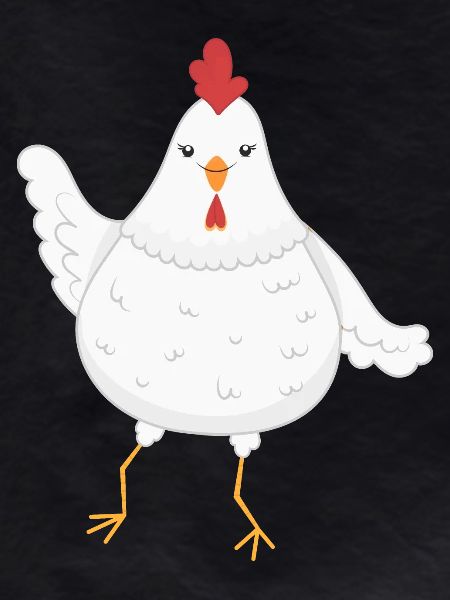 Chicken chickens