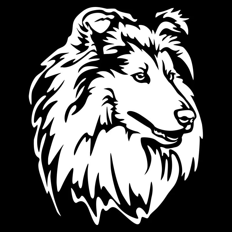 Collie Head « Black Edition »