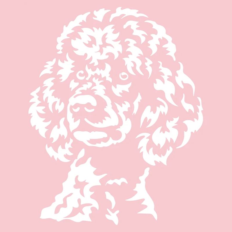 Grosse tête de caniche « Black Edition »