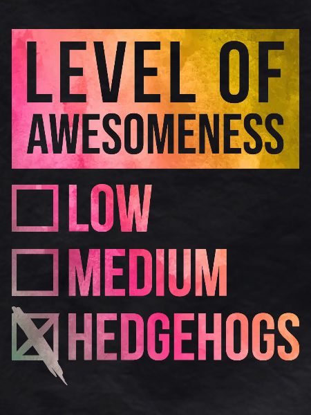Hedgehog Hedgehog Hedgehog