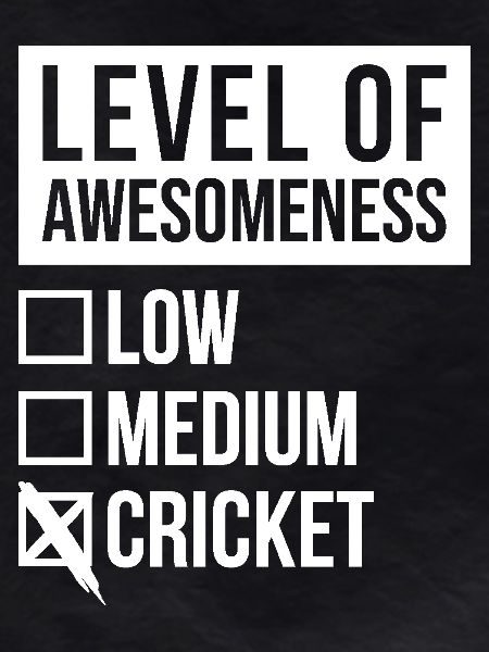 Cricket Cricket Cricket