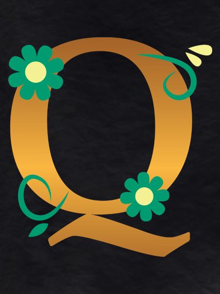 Q