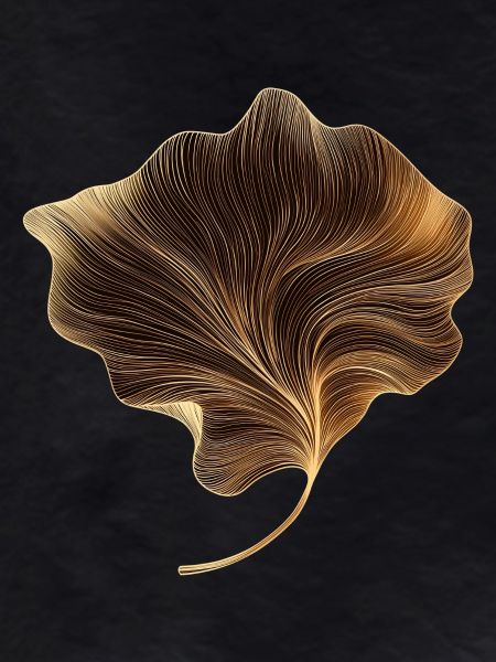 Elegant leaf