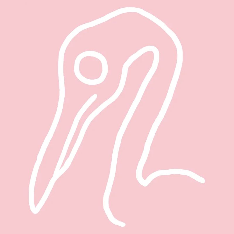 Bird - Vector