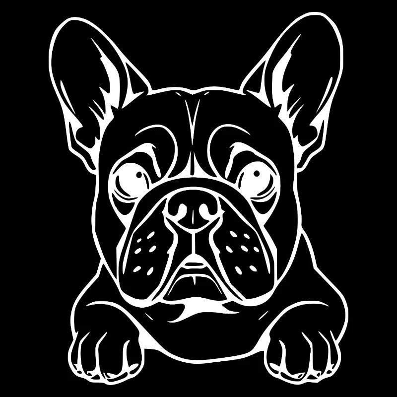 Bouledogue Blanc Français