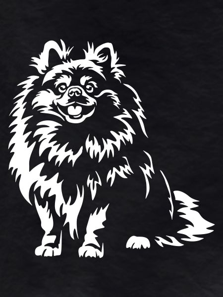 Poméranie « Édition Noire »