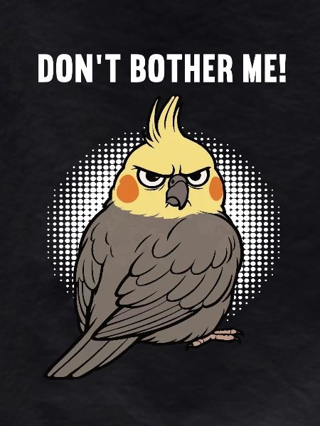 Don't Bother Me Cockatiel