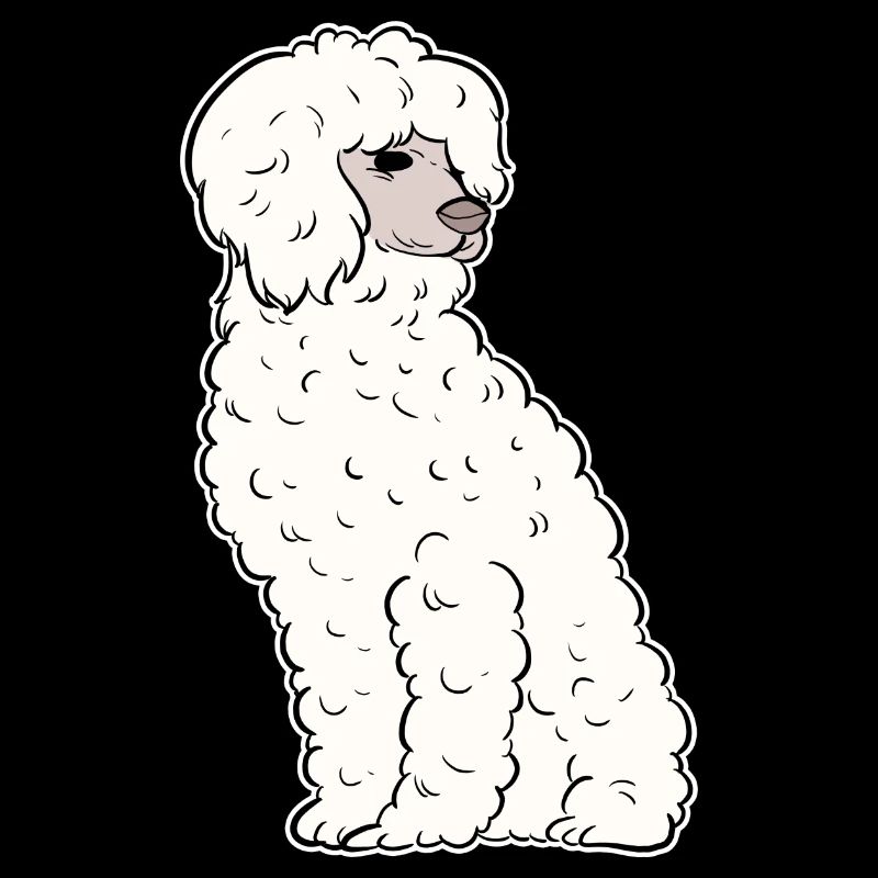 Caniche Chien Nain Caniche Jouet Caniche Petit Caniche Chiot Chiot