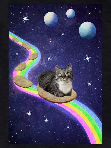 Cute Space cat