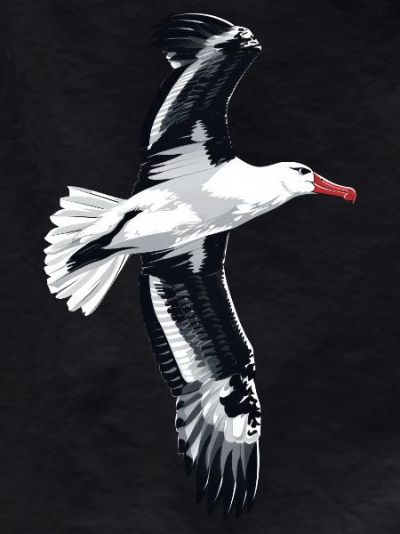 Möwe