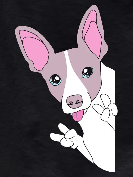 Rat Terrier