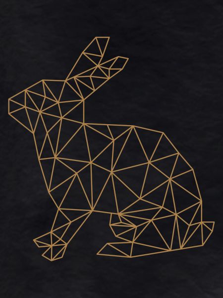 hase