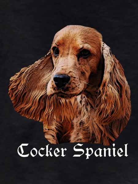 Cocker Spaniel,Spaniel,Dog Head,Pedigree Dog,