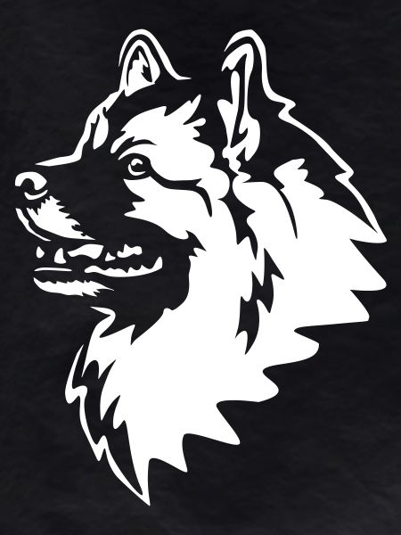 Wolfsspitz Head "Black Edition"