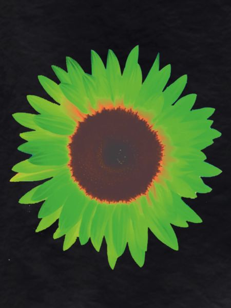 sunflower green