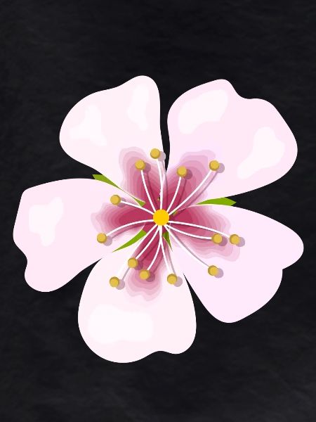 blossom