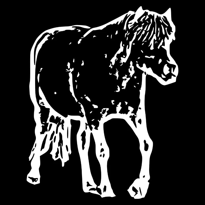 cheval blanc cheval blanc t-shirt cadeau cavalier
