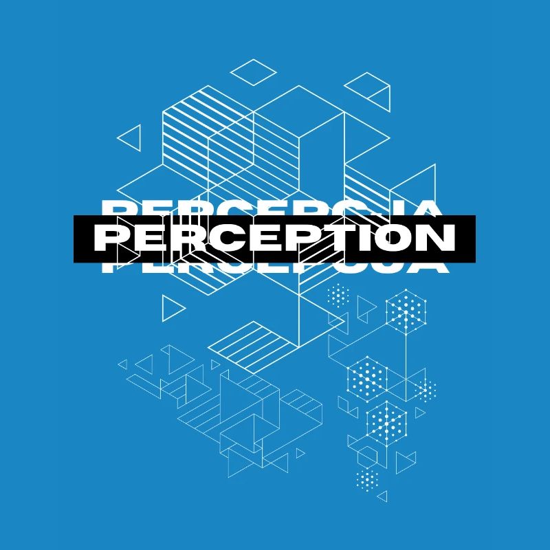 Perception Geometry Mystique