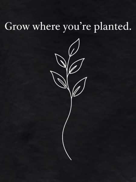Growing in the Now
