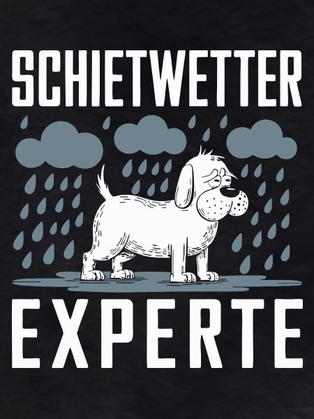 Bad weather dog expert