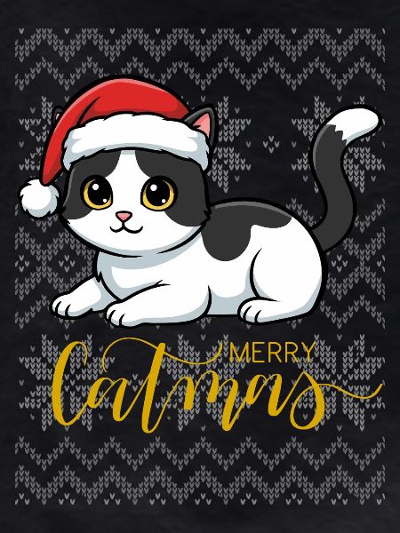 Christmas kitten in red hat