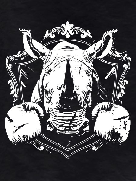 Rhino Boxing MMA