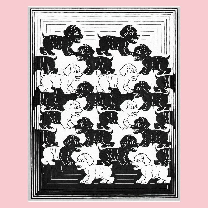 Dachshund Puppies in Monochrome Pattern