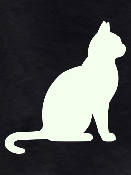Moonlit Night Cat Silhouette