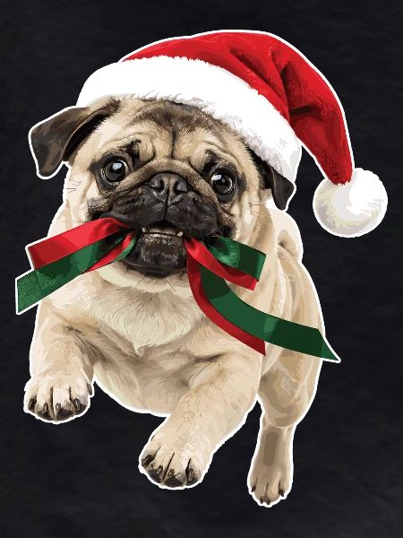 Playful Christmas Pug