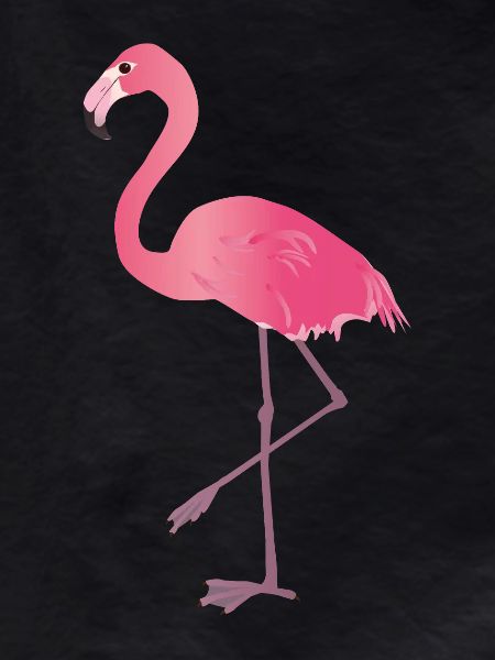 Pink Flamingo