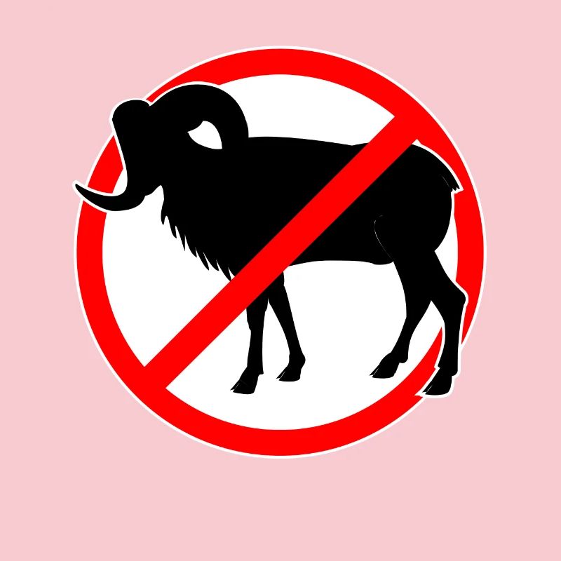Ziegen oder Mufflons verboten - Ziege