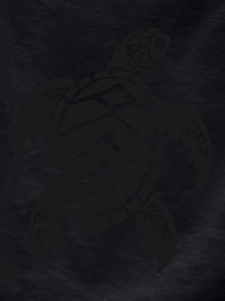 Sea turtle