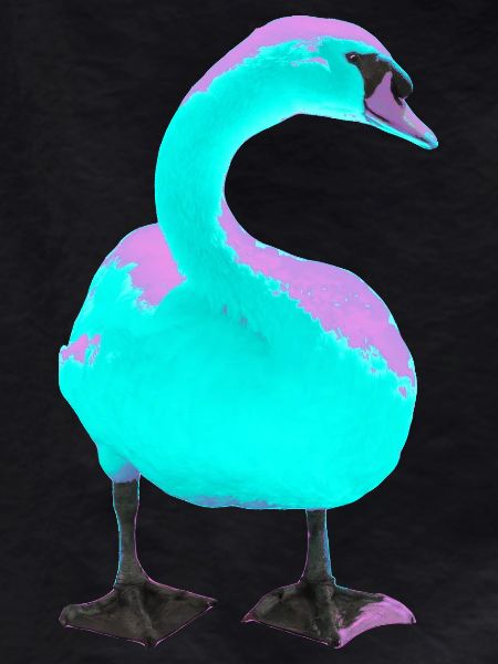 Schwan
