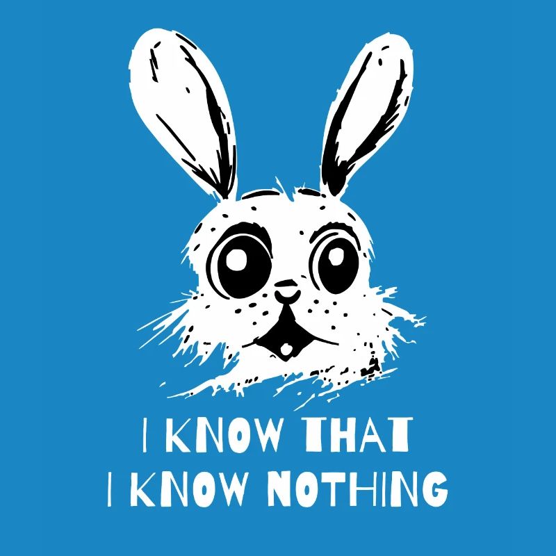 I Know That I Know Nothing - A Wise Rabbit