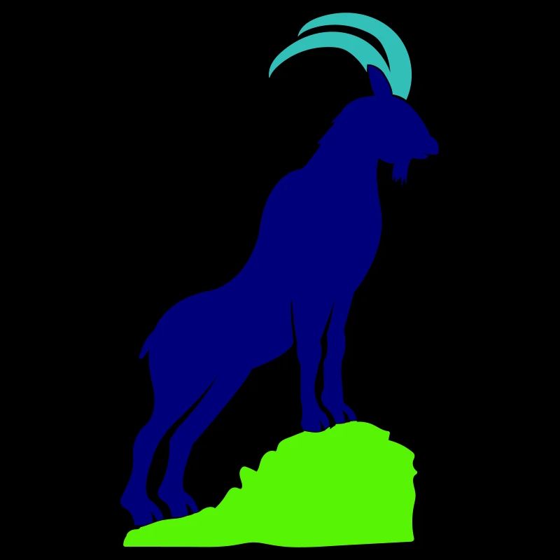 steinbock 02