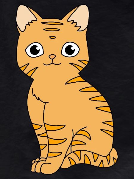 Tabby Cat