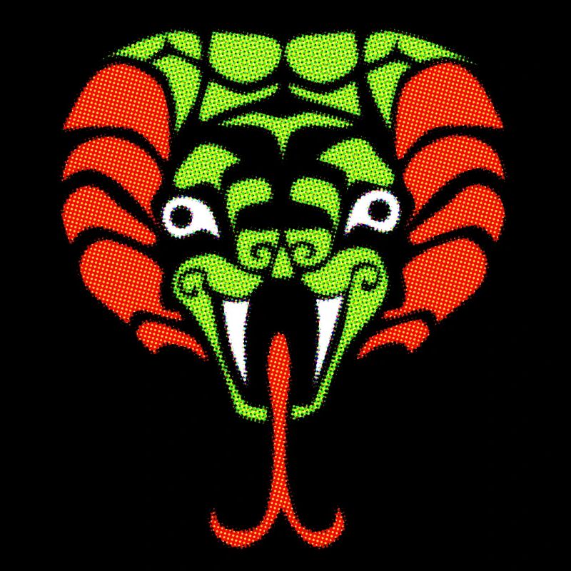 Schlange illustration magic jungle ancient style