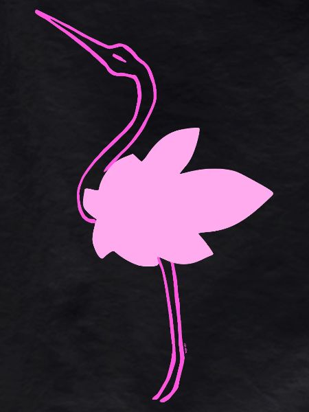 Stork
