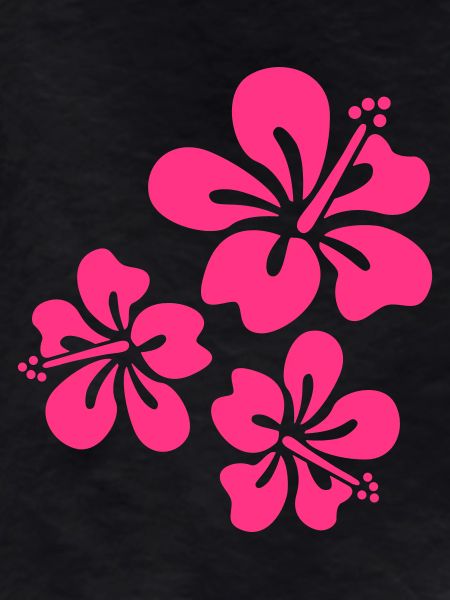 hibiscus summer flowers