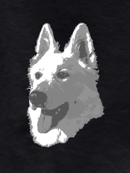 Berger Blanc Suisse