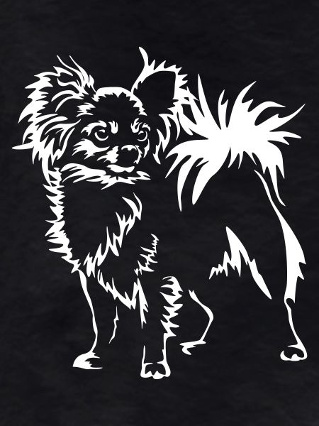 Chihuahua"Black Edition"