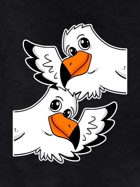 Seagull Seagulls