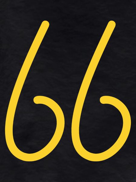 66