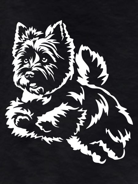 Cairn Terrier "Black Edition"