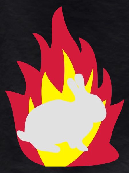 Rabbit in the fire